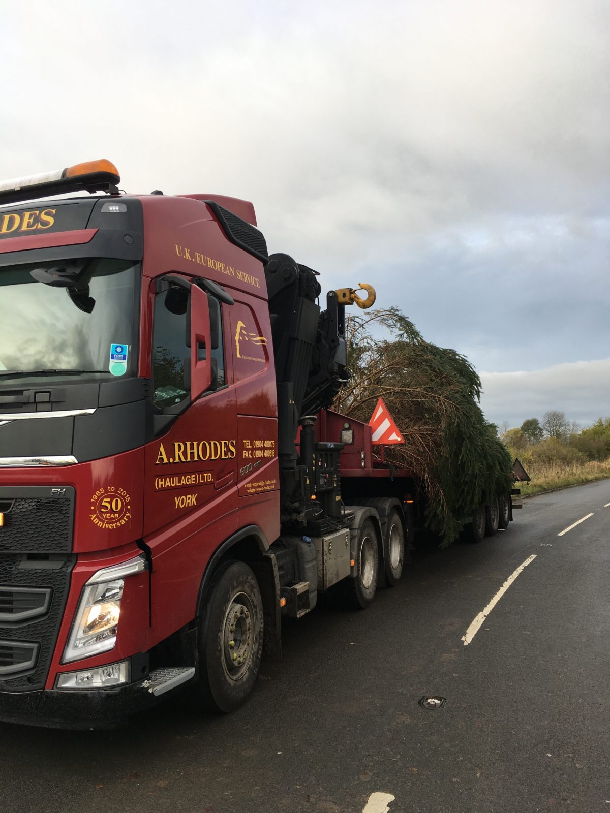 Christmas Tree York City Centre Case Study A Rhodes Haulage